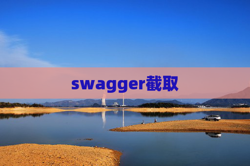 swagger截取